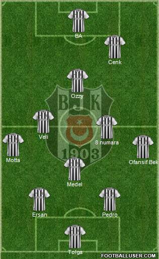 Besiktas JK Formation 2014