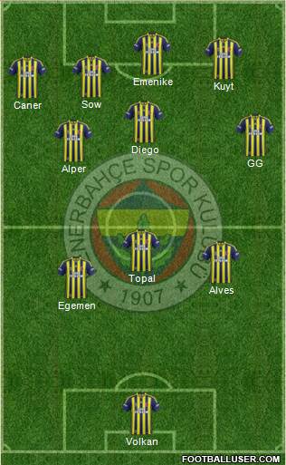 Fenerbahçe SK Formation 2014