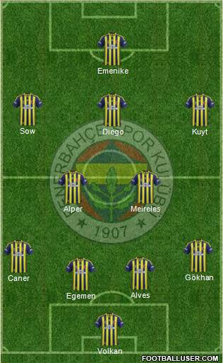 Fenerbahçe SK Formation 2014