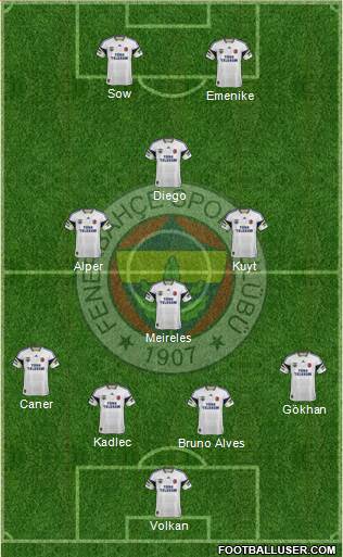 Fenerbahçe SK Formation 2014