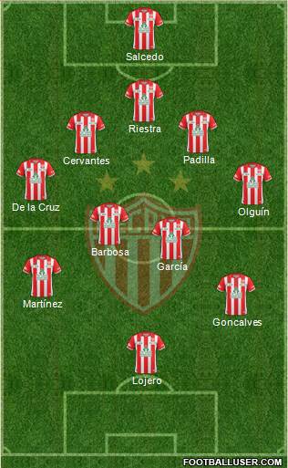 Club Deportivo Necaxa Formation 2014