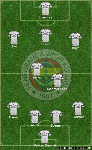 Fenerbahçe SK Formation 2014