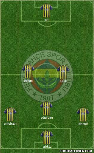 Fenerbahçe SK Formation 2014