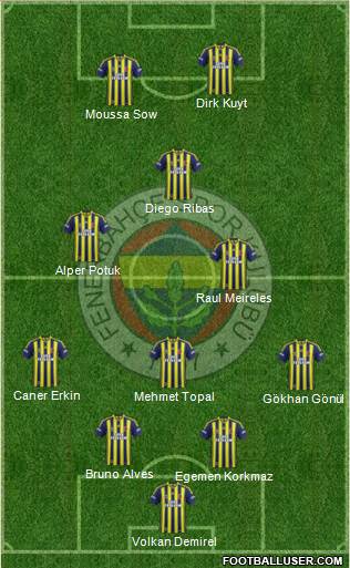 Fenerbahçe SK Formation 2014