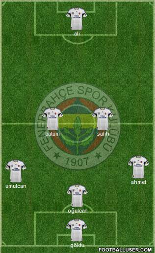 Fenerbahçe SK Formation 2014