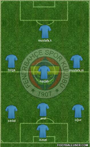 Fenerbahçe SK Formation 2014