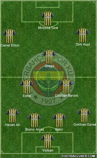 Fenerbahçe SK Formation 2014