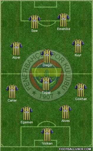 Fenerbahçe SK Formation 2014