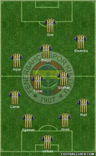 Fenerbahçe SK Formation 2014