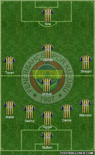 Fenerbahçe SK Formation 2014