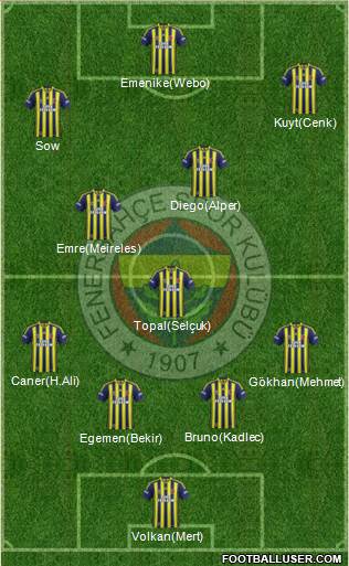 Fenerbahçe SK Formation 2014