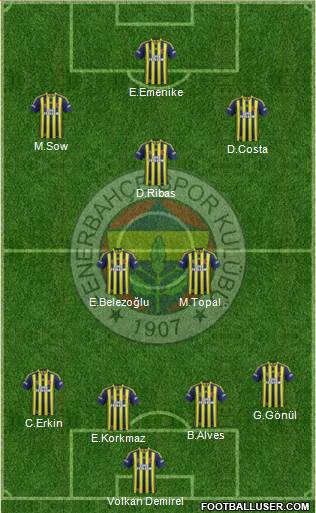 Fenerbahçe SK Formation 2014