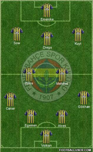Fenerbahçe SK Formation 2014