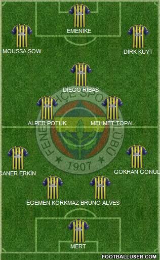 Fenerbahçe SK Formation 2014