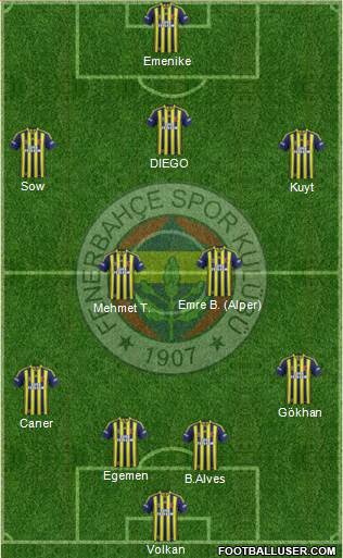 Fenerbahçe SK Formation 2014
