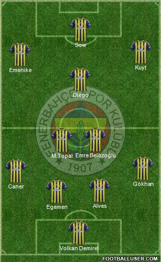 Fenerbahçe SK Formation 2014