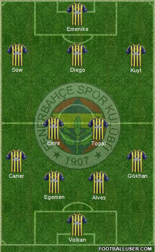 Fenerbahçe SK Formation 2014