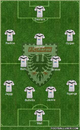 FC Aarau Formation 2014