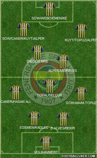 Fenerbahçe SK Formation 2014