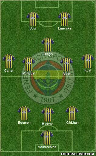 Fenerbahçe SK Formation 2014