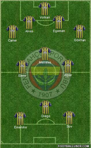 Fenerbahçe SK Formation 2014