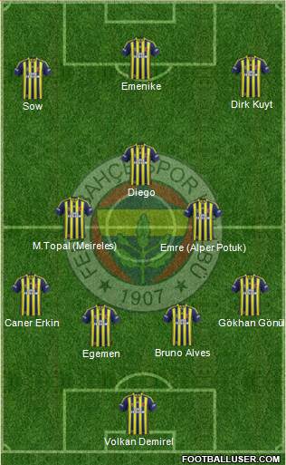 Fenerbahçe SK Formation 2014