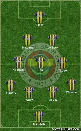 Fenerbahçe SK Formation 2014