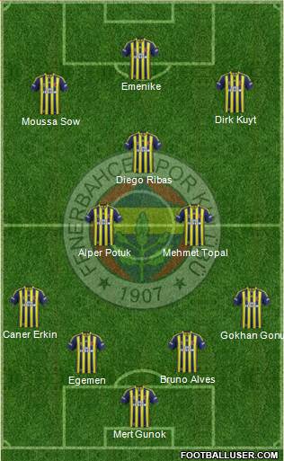 Fenerbahçe SK Formation 2014