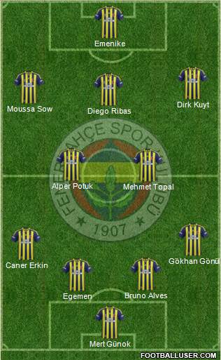 Fenerbahçe SK Formation 2014