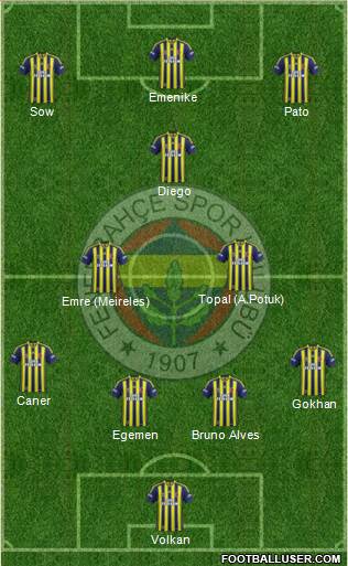 Fenerbahçe SK Formation 2014