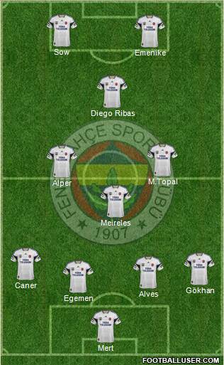 Fenerbahçe SK Formation 2014