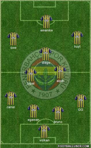 Fenerbahçe SK Formation 2014