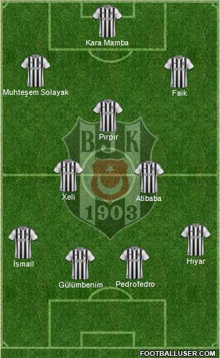 Besiktas JK Formation 2014