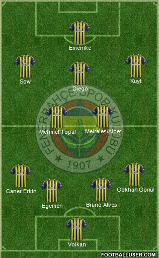 Fenerbahçe SK Formation 2014