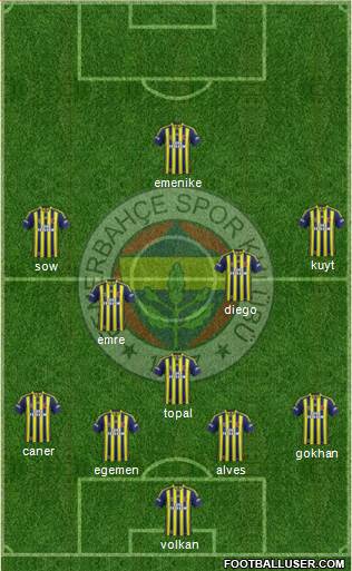 Fenerbahçe SK Formation 2014