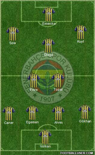 Fenerbahçe SK Formation 2014