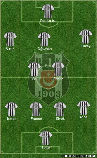 Besiktas JK Formation 2014