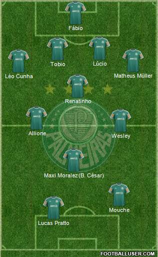 SE Palmeiras Formation 2014