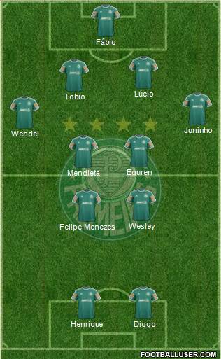 SE Palmeiras Formation 2014