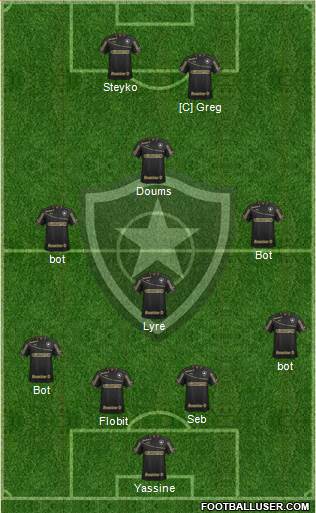 Botafogo FR Formation 2014