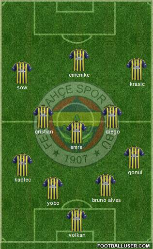 Fenerbahçe SK Formation 2014