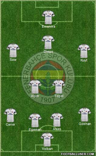 Fenerbahçe SK Formation 2014