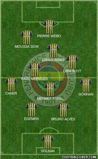 Fenerbahçe SK Formation 2014