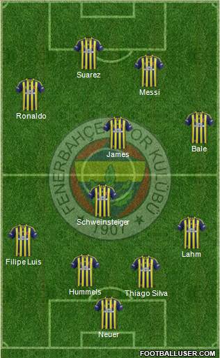 Fenerbahçe SK Formation 2014