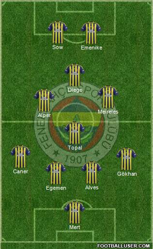 Fenerbahçe SK Formation 2014