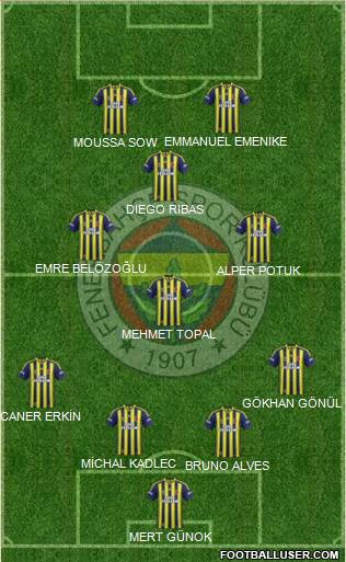 Fenerbahçe SK Formation 2014