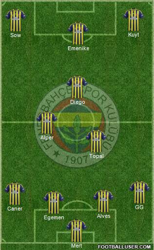 Fenerbahçe SK Formation 2014