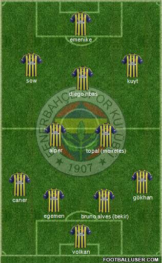 Fenerbahçe SK Formation 2014