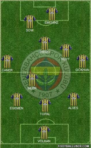 Fenerbahçe SK Formation 2014