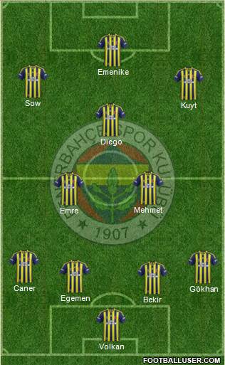 Fenerbahçe SK Formation 2014